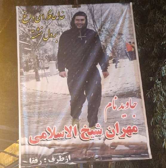 Mehran Sheykh-ol-Eslami