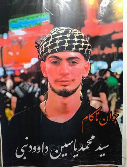 Seyed Mohammadyasin Davoudnabi