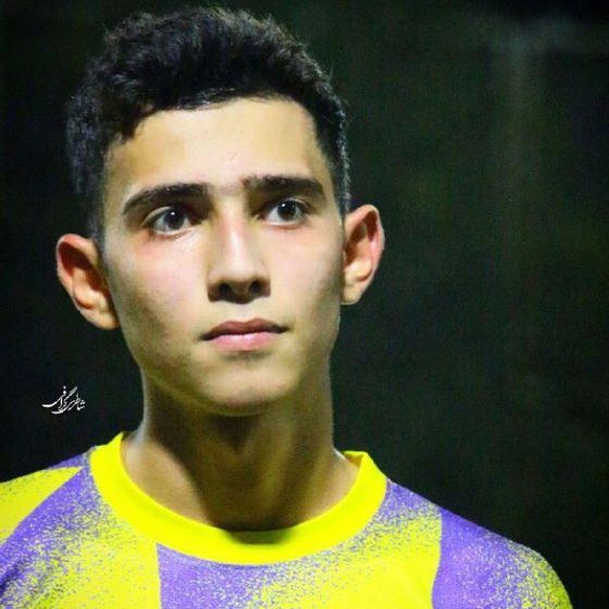 Mohammadhossein Gholami