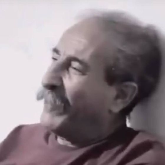 Abdolsadat Shams-Oldini