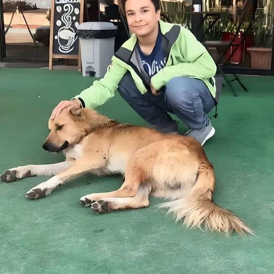 Arvin Moradi Tawaqqo 15 years old