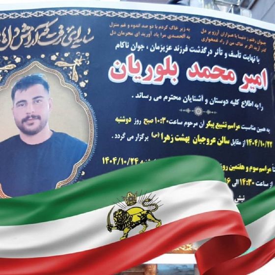 Amirmohammad Blourian