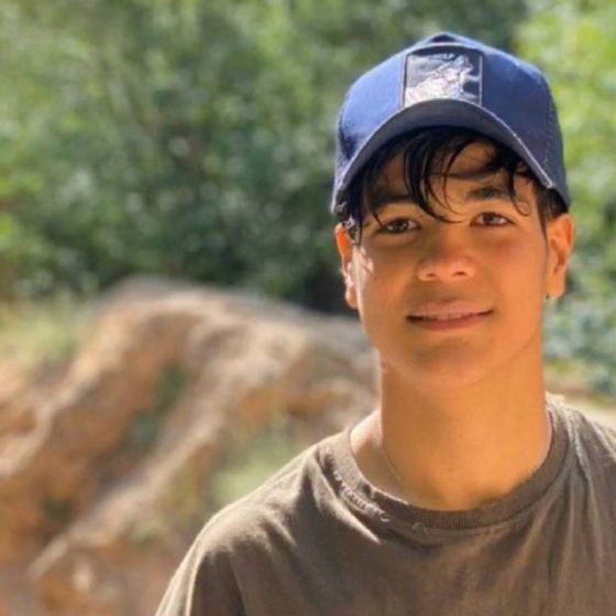 Esmaeil Pishro 17 Sale