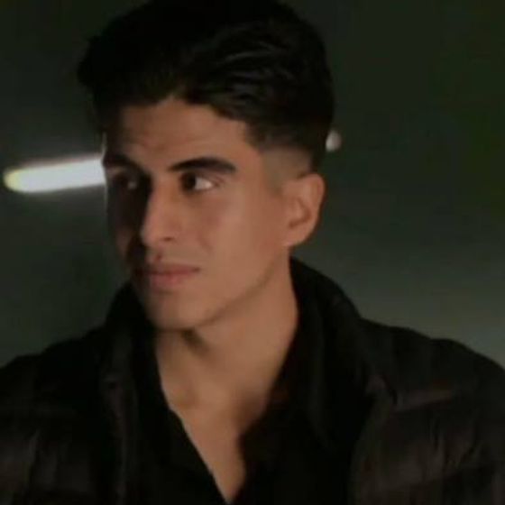 Mohammad Javad Moghanni