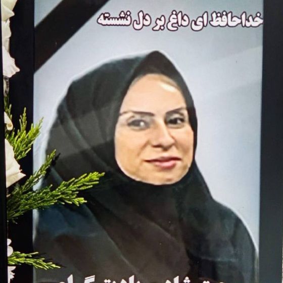 Hamideh Salarzadeh
