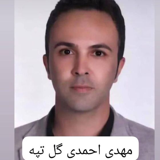 Mehdi Ahmadi Goltappeh