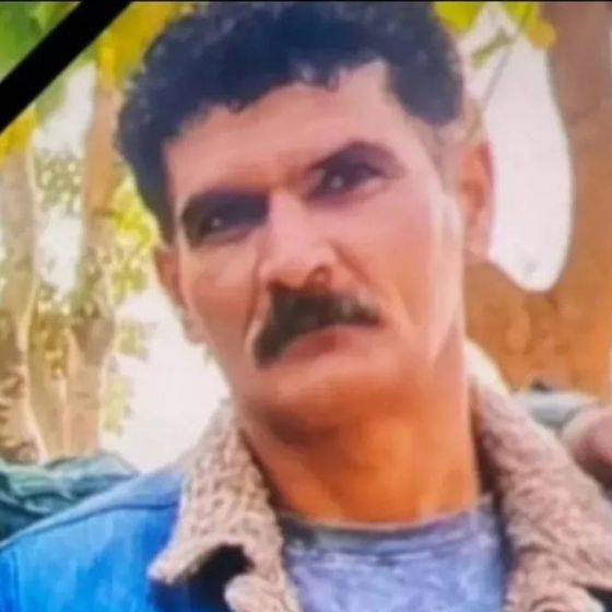 Mohammadreza Soltani