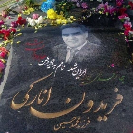 Fereydoun Anaraki