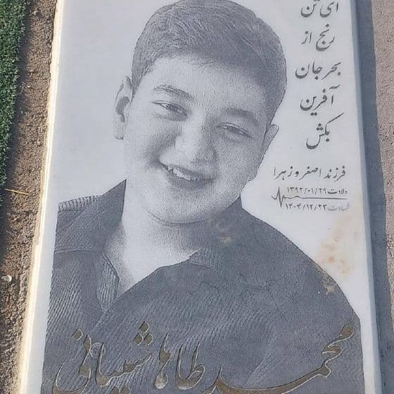 Mohammadtaha Sheibani 12-sale
