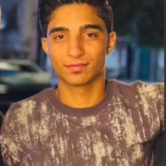 Mohammadamin Khatemzamini