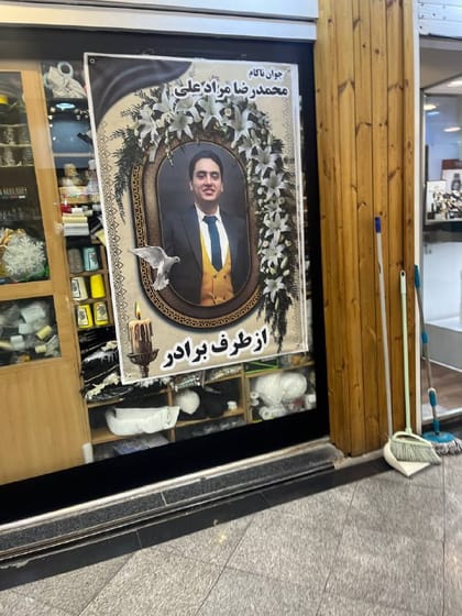 Mohammadreza Moradali