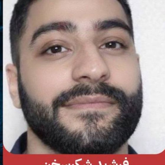 Farshid Shokrsakhan