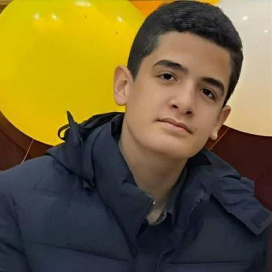 Mohammad Soltanifard