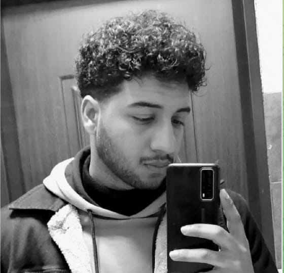 Mohammad Mahdi Salari