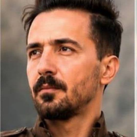 Mojtaba Veisi