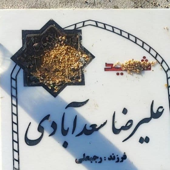Alireza Saadabadi