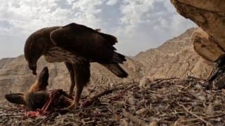 Documentation from Iran - 2026-01-06