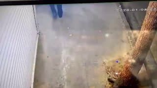 Documentation from Iran - 2026-01-23