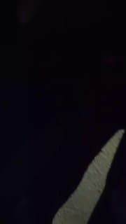 Documentation from Isfahan - 2026-01-27
