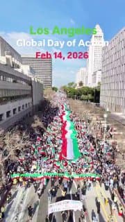 Documentation from Iran - 2026-02-15