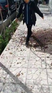 Documentation from Tehran - 2026-02-28