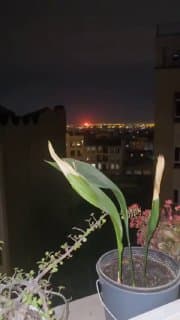 Documentation from Tehran - 2026-03-07