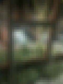 Documentation from Parand, Karaj - 2026-03-12
