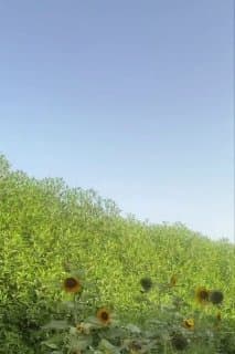 Documentation from Iran - 2026-06-01