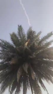 Documentation from Iran - 2026-06-01